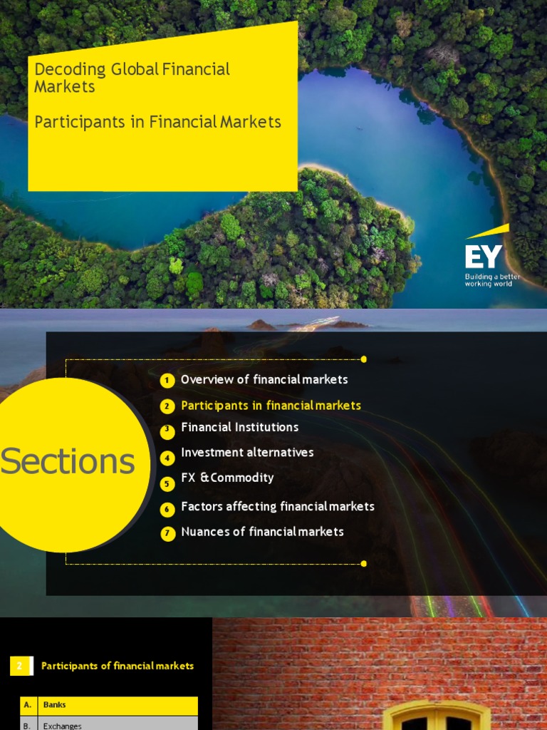 Participants in Financial Markets | PDF | Banks | Stock Exchange