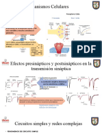 Mecanismos Celulares
