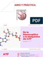 De La Bioenergética A La Bioquímica Del ATP