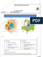 11a Gabriela Rojas - 2taller Def 11 Biologiam19