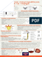 Trastornos Neuropáticos de La Vejiga