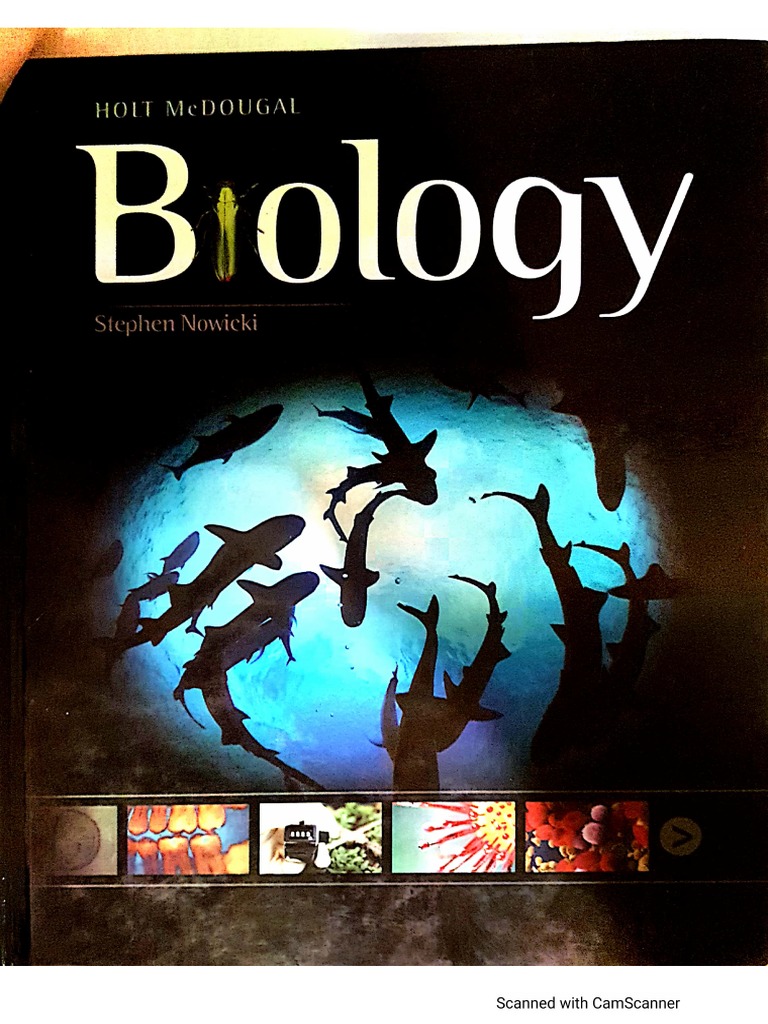 4 6023987469987350603 1 | PDF