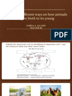 Identify Different Ways On How Animals Give Birth To Its Young