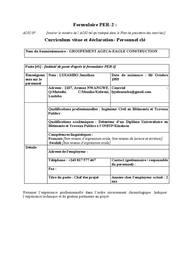 Formulaire PER MODELE CV-LUSAMBO | PDF | Évolution de carrière | Affaires