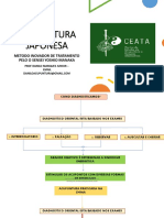 Acupuntura Japonesa Inovadora