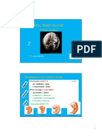 Embryologie Generale 2