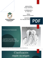 Manejo de Perforación Dental