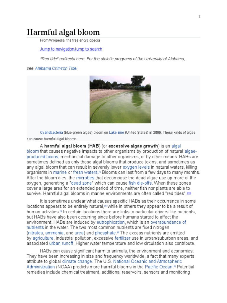 understanding-the-causes-and-impacts-of-harmful-algal-blooms-pdf