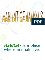 Habitat of Animals