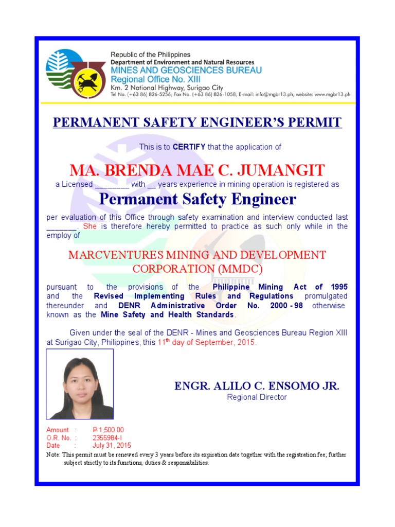 Permanent Safety Engr's Permit Template | PDF