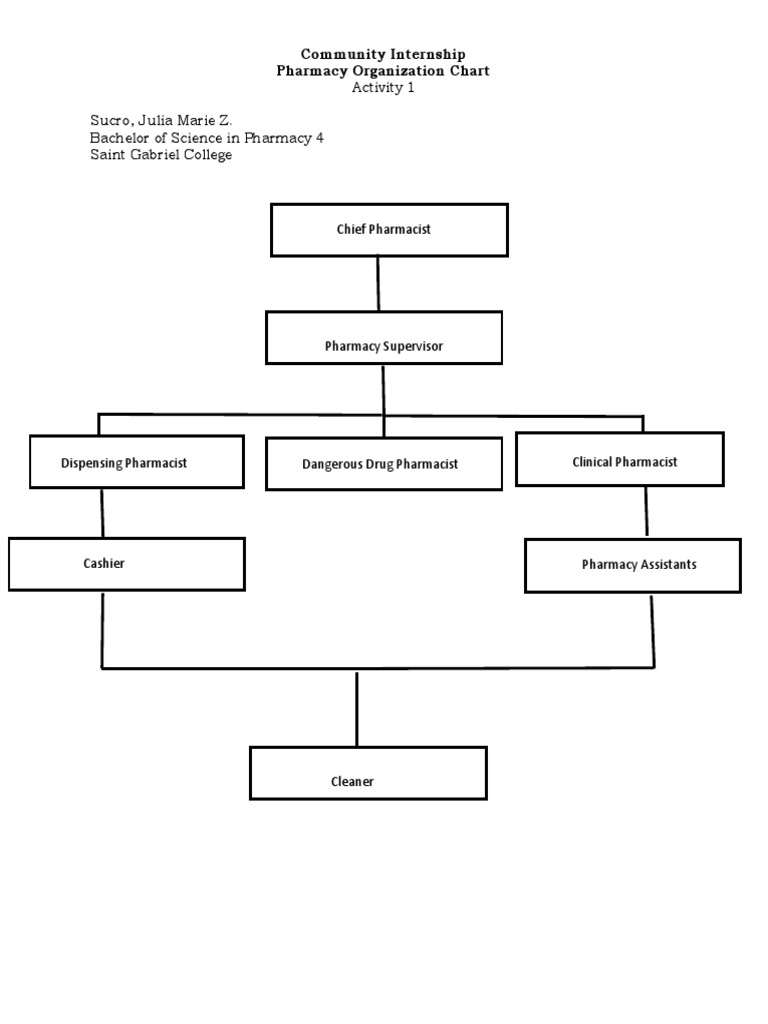 Community Pharmacy Organizational Chart | PDF | Pharmacy | Medical ...