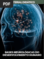 Estrutura e Funcao Dos Nucleos Da Base | PDF | Gânglios basais ...