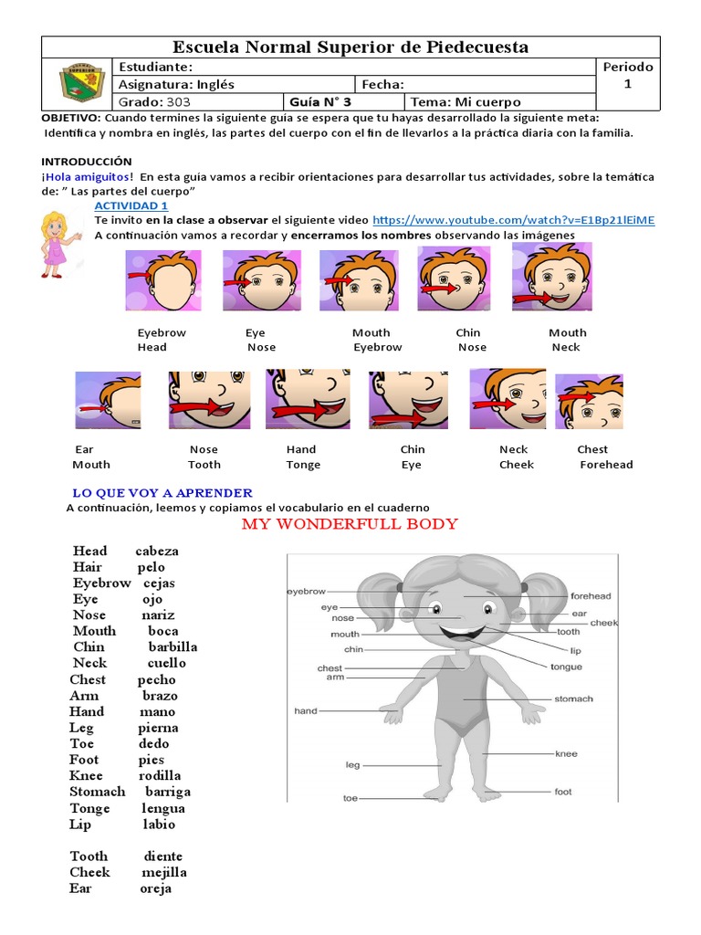 Las Partes Del Cuerpo | PDF | Anatomía humana