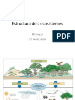 Estructura Dels Ecosistemes