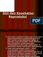 Download Gizi Dan Kesehatan Reproduksi by dr liza MPdI  CHt SN6239108 doc pdf