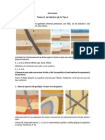 Activitats Resoltes Tema 3