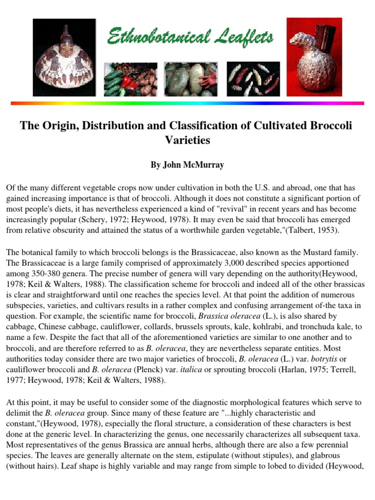The Origin Distribution and Classification of Cultivated Broccol | PDF ...