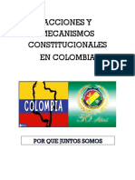 Acciones Y Mecanismos Constitucionales en Colombia