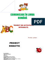 proiect_didactic_c.l.r (1)