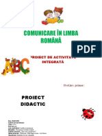 Proiect Didactic C.L.R