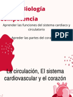 Sistema Circulatorio y Cardiaco.