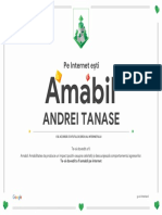 Google - Interland - ANDREI TANASE - Certificat - de - Amabilitate