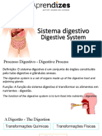 Sistema Digestivo