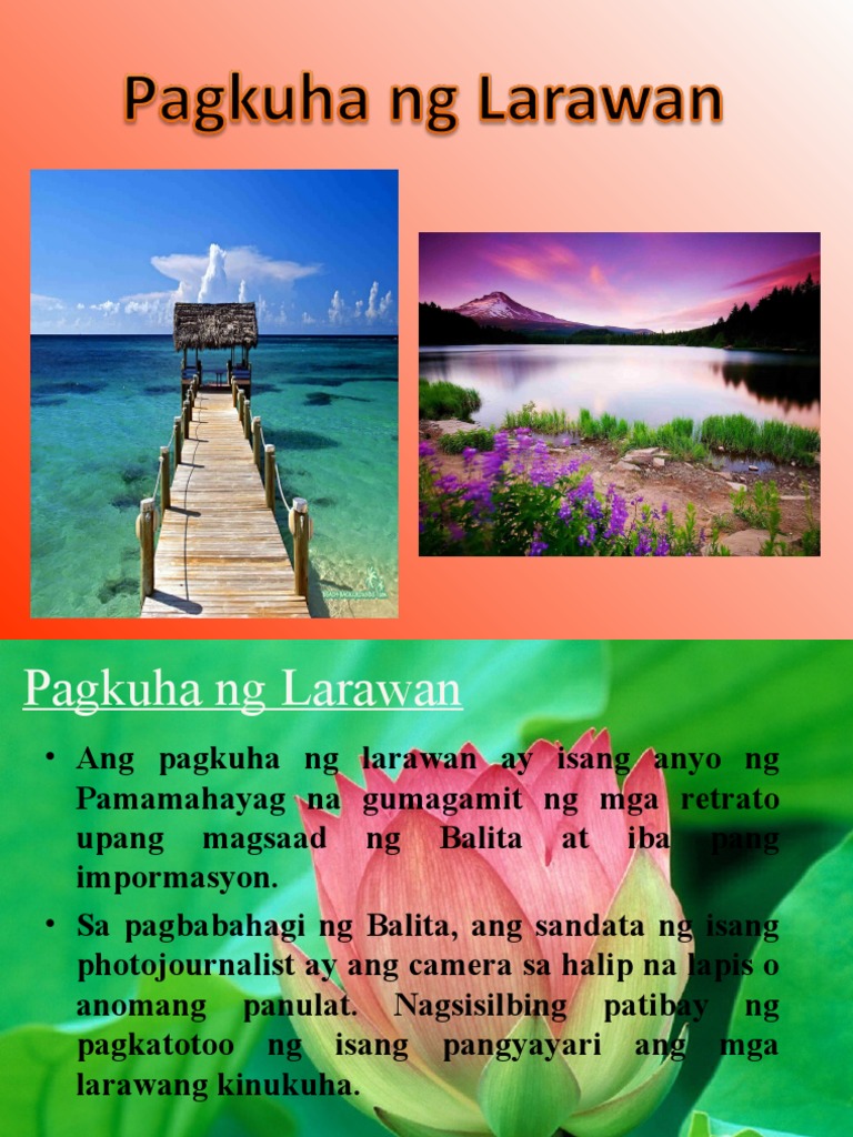 Pagkuha NG Larawan - 3 | PDF