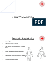 Anatomía Del Cuerpo Humano