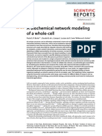 A Biochemical Network Modeling of A Whole Cell