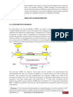 GENETIQUE FONDAMENTALE - Transcription - Moodle