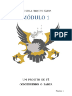 Apostila Projeto Águia