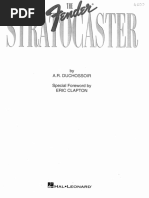 Fender Stratocaster(the Book)