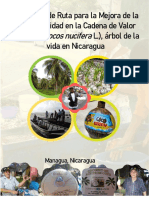 Propuesta de Mejora de Competitividad Del Coco Nicaragua2021