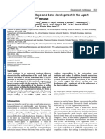 Abnormalities in Cartilage and Bone Development in The Apert Syndrome FGFR2+/S252W Mou