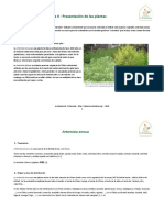 Manual de Cultivo y Transformacion Artemisia 2020