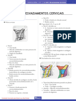 02 - CCP I - Esvaziamentos Cervicais