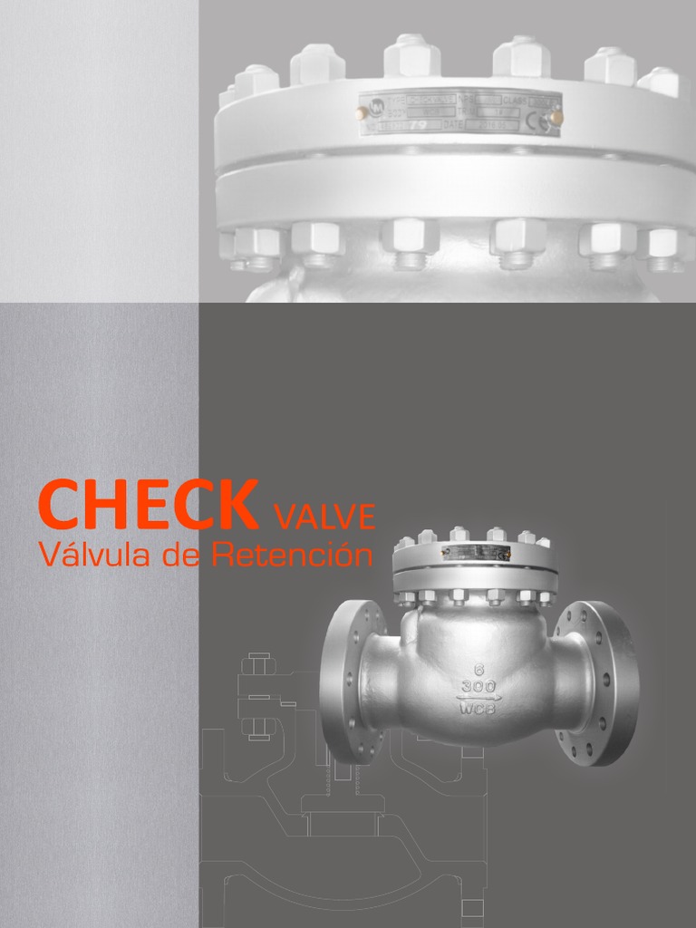 Ansi Cast Steel Check Valve | PDF | Hierro | Ingeniería de Edificación