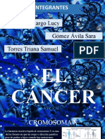 Genética y cáncer: mutaciones, herencia y prevención