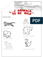 Evaluacion de Los Animales