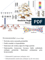 Genetik-II Ders 1 Ve 2