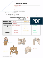 Bones and Joints Types