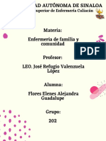 Materia: Enfermeria de Familia y Comunidad Profesor: LEO. José Refugio Valenzuela López Alumna: Flores Elenes Alejandra Guadalupe Grupo: 202