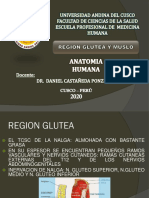 Región glútea y muslo