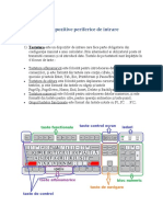 Dispozitive Periferice de Intrare