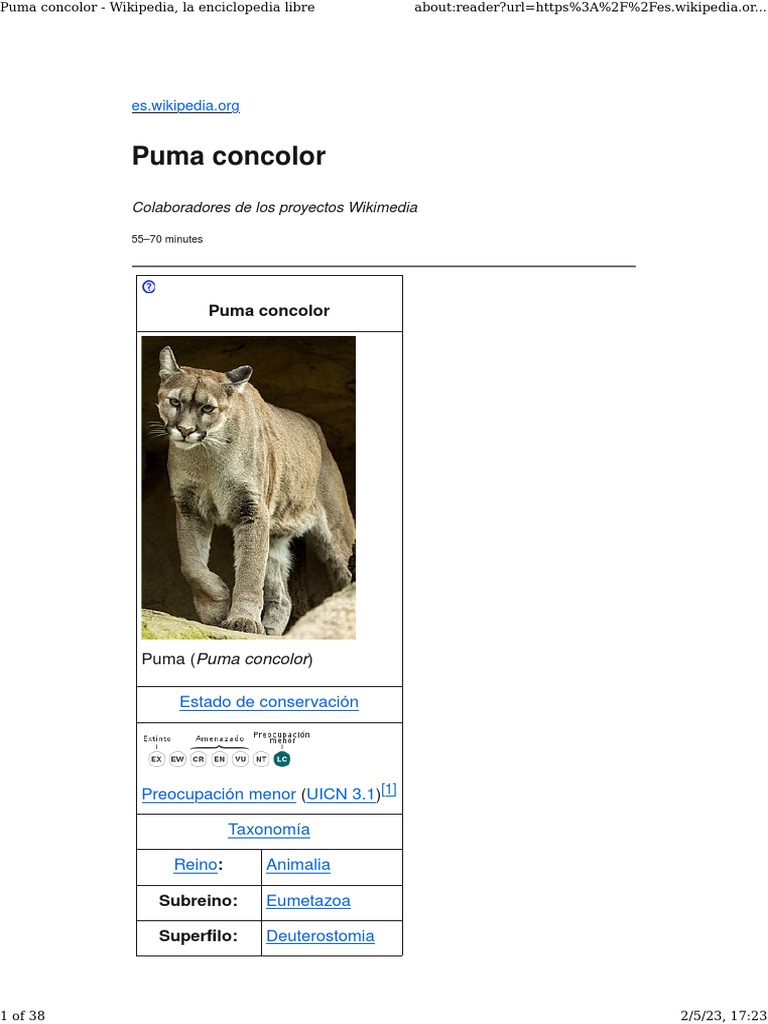 Pumas Pdf Puma Jaguar