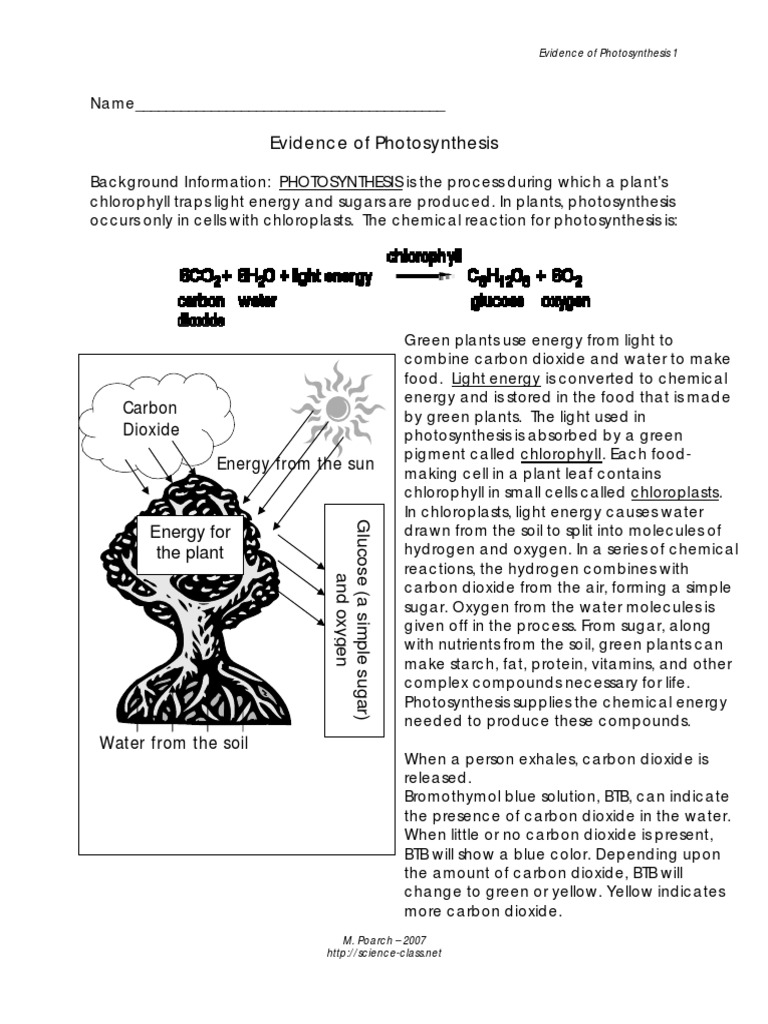 7.5A Bromothymol Blue Lab PDF Photosynthesis Chloroplast