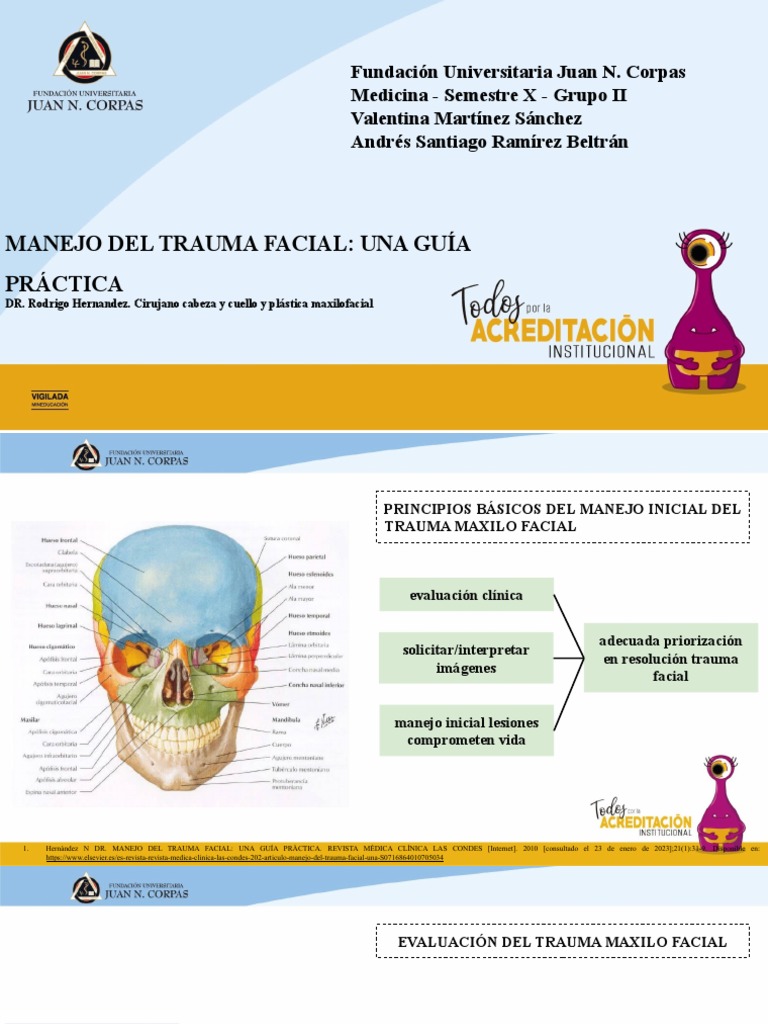 Trauma Facial | PDF | Lesión | Examen físico
