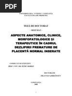 rezumat-serbanescu