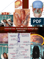 Download Penyakit Kelamin Dan Bahaya Narkoba by dr liza MPdI  CHt SN6239841 doc pdf